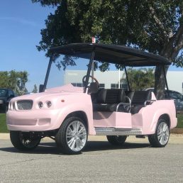 Luxe limo pink